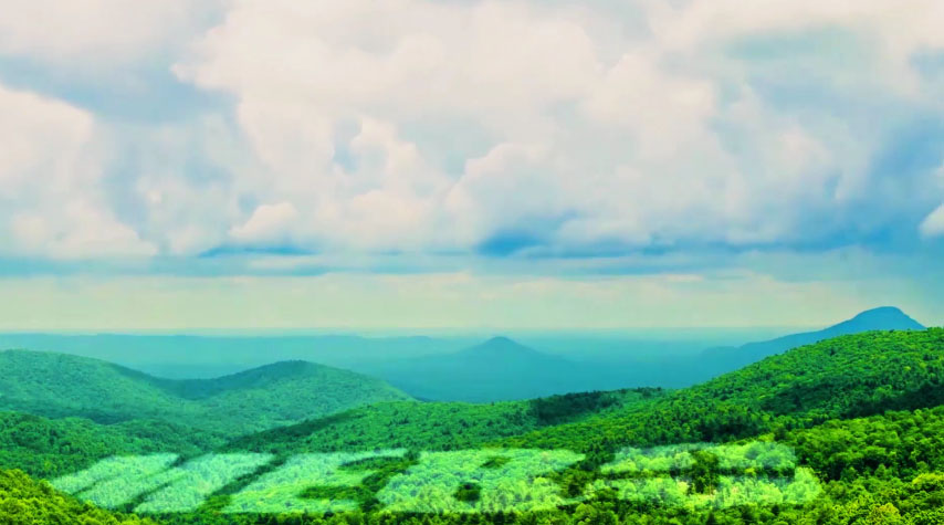 Company Profile ( Chinese )