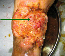 Stake官方·(中国区)网站入口