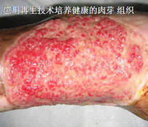 Stake官方·(中国区)网站入口