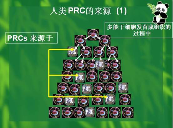 Stake官方·(中国区)网站入口