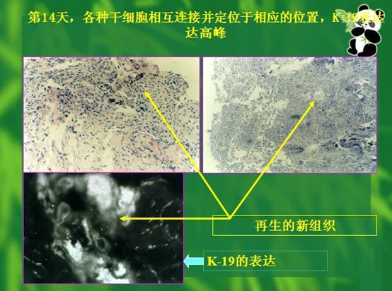 Stake官方·(中国区)网站入口