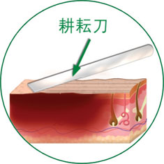 Stake官方·(中国区)网站入口