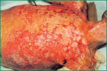 Stake官方·(中国区)网站入口