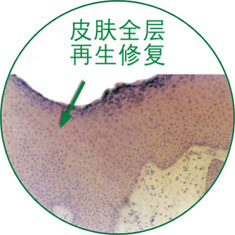 Stake官方·(中国区)网站入口