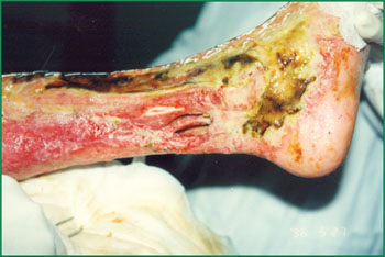 Stake官方·(中国区)网站入口