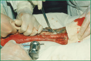 Stake官方·(中国区)网站入口