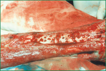 Stake官方·(中国区)网站入口