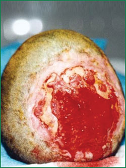 Stake官方·(中国区)网站入口