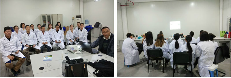 Stake官方·(中国区)网站入口