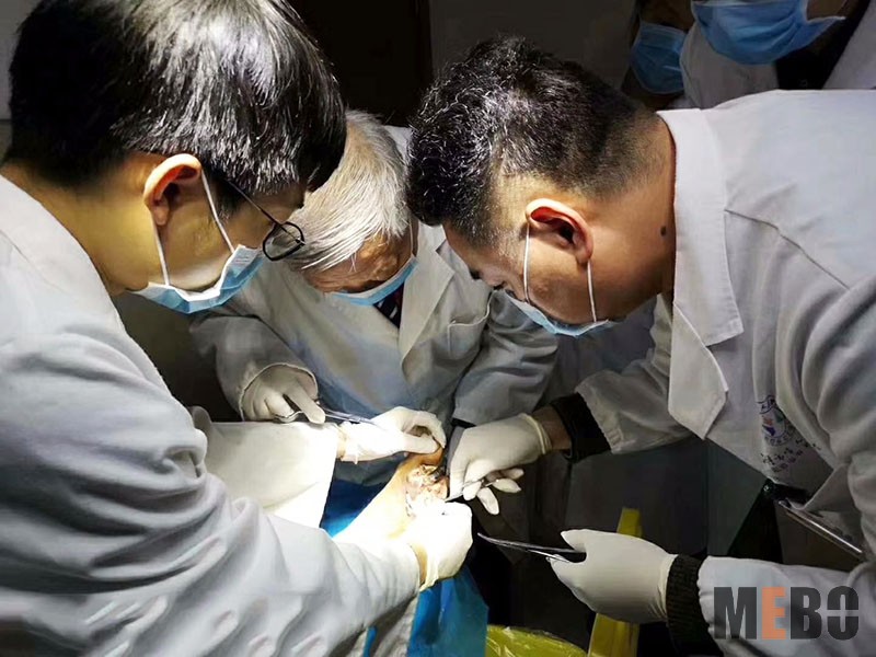 Stake官方·(中国区)网站入口