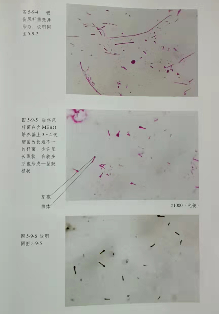 Stake官方·(中国区)网站入口