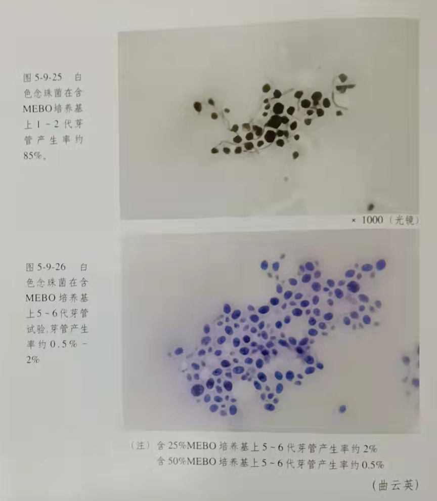 Stake官方·(中国区)网站入口