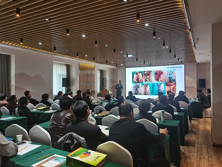 Stake官方·(中国区)网站入口