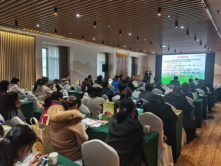 Stake官方·(中国区)网站入口