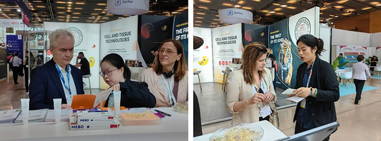 Stake官方·(中国区)网站入口