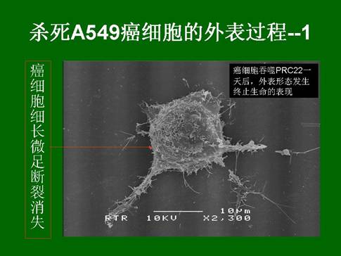 Stake官方·(中国区)网站入口
