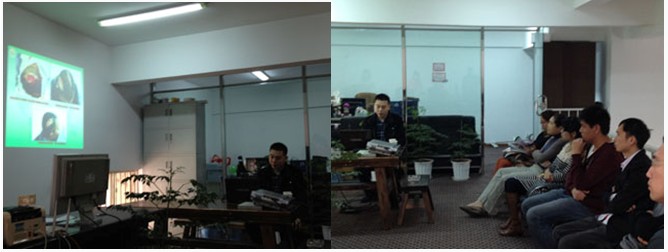 Stake官方·(中国区)网站入口