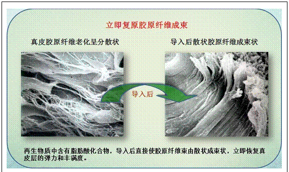 Stake官方·(中国区)网站入口
