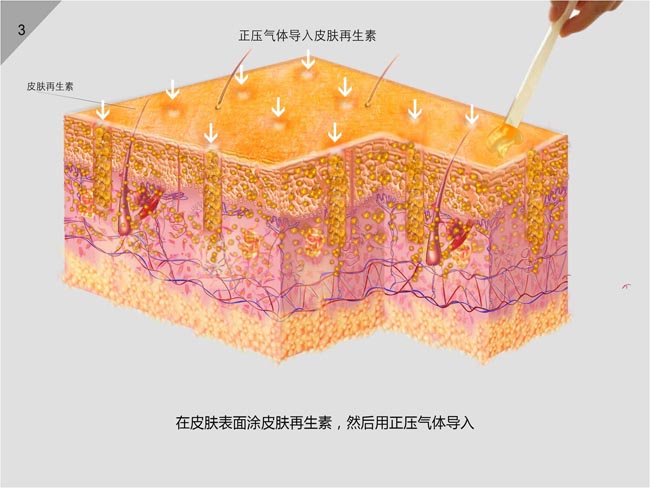 Stake官方·(中国区)网站入口