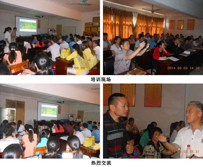 Stake官方·(中国区)网站入口