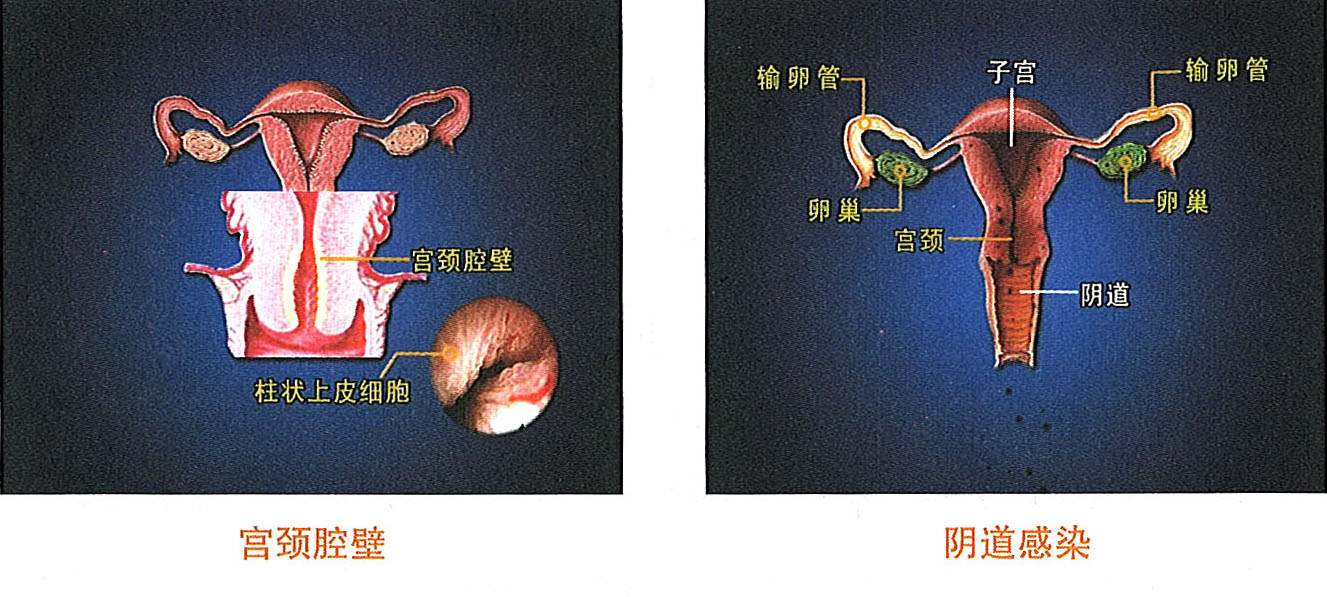 Stake官方·(中国区)网站入口