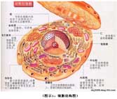 Stake官方·(中国区)网站入口